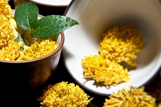 孕婦可以喝菊花茶嗎，菊花對胎兒有致畸作用？
