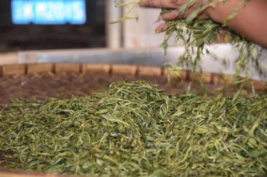 炒青綠茶與綠茶的區(qū)別，烘青和炒青哪個(gè)好喝？