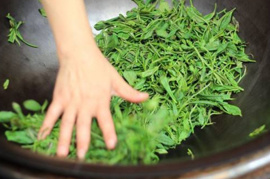 炒青綠茶與綠茶的區(qū)別，烘青和炒青哪個(gè)好喝？