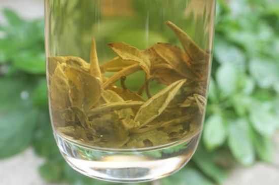 茉莉龍珠泡開后為什么都是梗，茉莉龍珠泡開后什么樣？