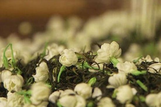 蒸茶器可以蒸花茶嗎，蒸茶器能用來蒸茉莉花茶嗎？