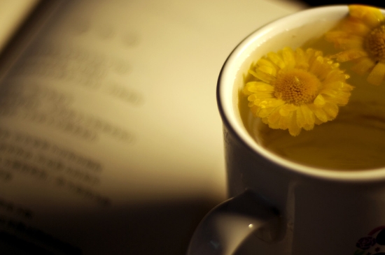經(jīng)常菊花泡水好嗎，喝菊花茶有什么好處？