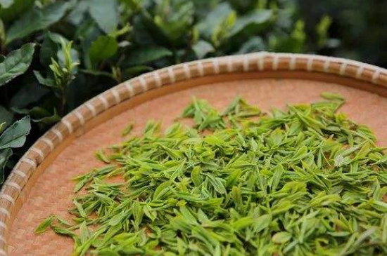 炒青綠茶與綠茶的區(qū)別，烘青和炒青哪個(gè)好喝？