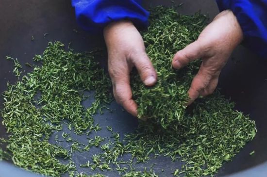 自家炒茶葉怎么炒，自己炒茶葉的步驟