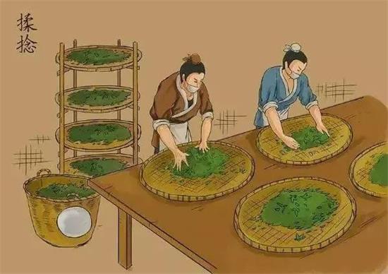 制茶八步驟，制茶工藝流程圖