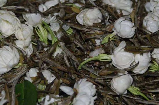 茉莉龍珠怎么做的，茉莉龍珠的制作工藝