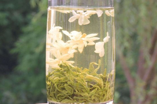 茉莉龍珠可以和什么一起泡茶，茉莉龍珠茶能加蜂蜜嗎？