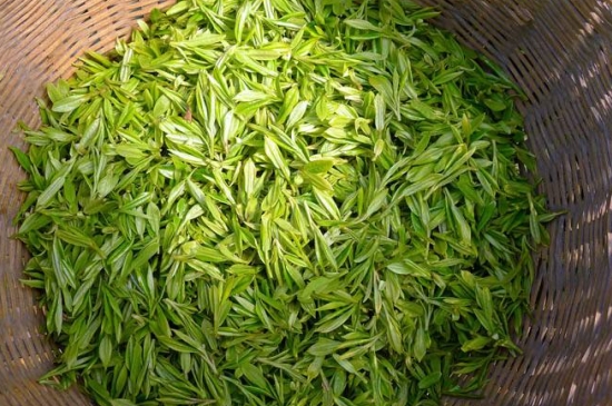 烏牛早和龍井的區(qū)別圖片，龍井43號(hào)和烏牛早茶的對(duì)比