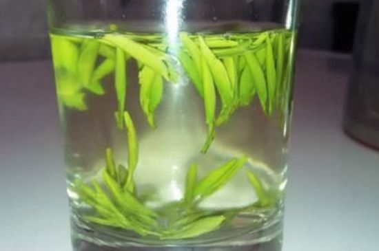 翠眉是什么茶，適合什么時候喝
