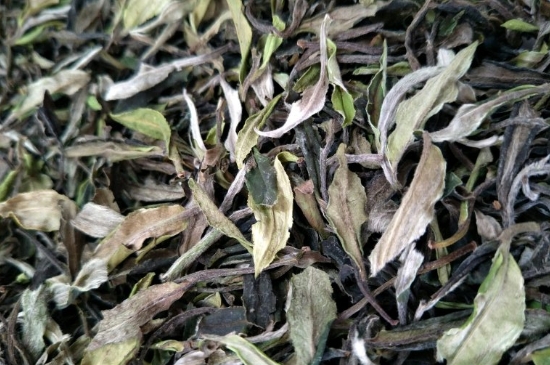 福鼎白茶貢眉和壽眉的區(qū)別，壽眉與貢眉有什么區(qū)別