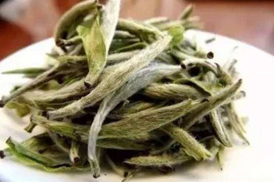 白茶三年為藥七年為寶的原理，為什么說一年茶三年藥七年寶？