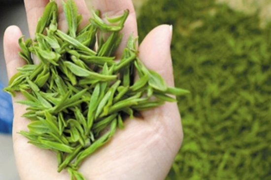 潮汕炒茶屬于什么茶，潮汕炒茶是綠茶嗎？