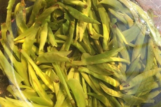 龍井是明前的好還是雨前的好，明前茶和雨前茶哪個(gè)好喝？