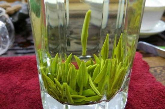 雀舌有一股青草味，雀舌為什么有青草味？