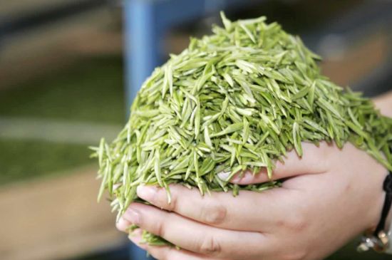 高山云霧茶屬于什么茶，高山云霧茶哪里的最好