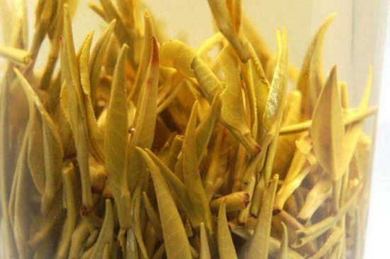 黃茶不適合哪些人喝，黃茶的功效與作用禁忌