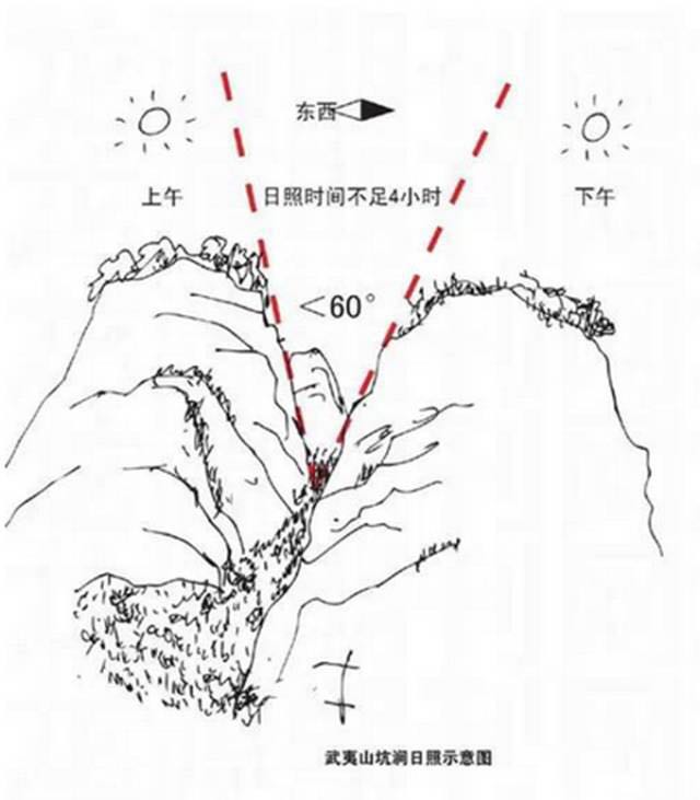 武夷山為什么盛產(chǎn)茶葉，武夷山茶為什么好喝？