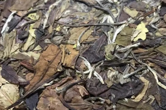 老白茶上火還是去火？夏季喝煮的老白茶會容易上火！