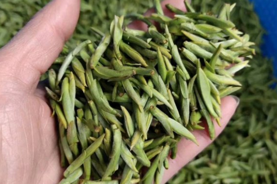 龍井茶好壞的鑒別圖片，如何區(qū)別龍井茶的好壞？