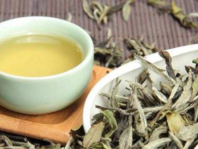 大紅袍好還是白茶好，福鼎白茶和大紅袍哪個貴？
