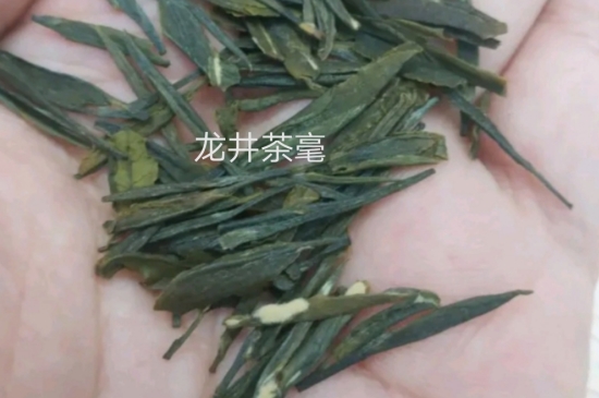 西湖龍井茶毫和發(fā)霉區(qū)別圖片，長霉的龍井茶葉會(huì)是什么樣？