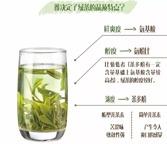 什么綠茶口味重口感濃郁，口味比較重的綠茶都有那些？