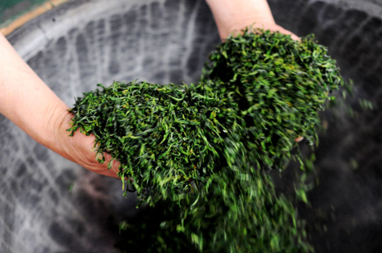 潮汕炒茶屬于什么茶，潮汕炒茶是綠茶嗎？