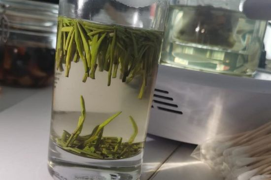金壇雀舌算不算好茶，金壇雀舌屬于什么檔次茶葉？