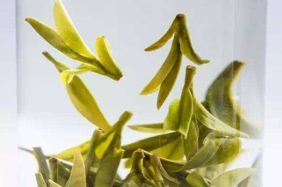 烏牛早和龍井的區(qū)別圖片，龍井43號(hào)和烏牛早茶的對(duì)比