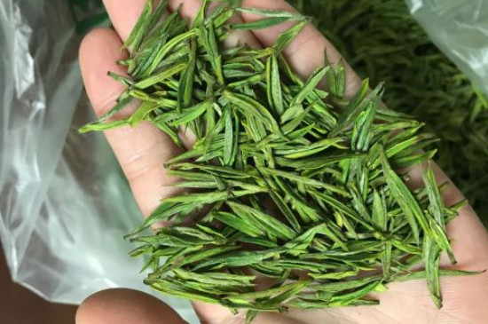 什么綠茶茶葉唇齒留香，哪個(gè)品種綠茶香氣好？