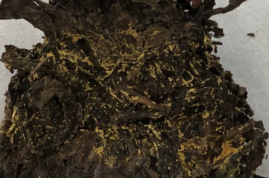 怎么知道涇渭茯茶是否變質，茯磚茶金花和發(fā)霉的區(qū)別