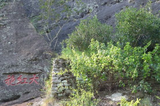 母樹大紅袍給誰喝了，為什么母樹大紅袍叫三棵六株？