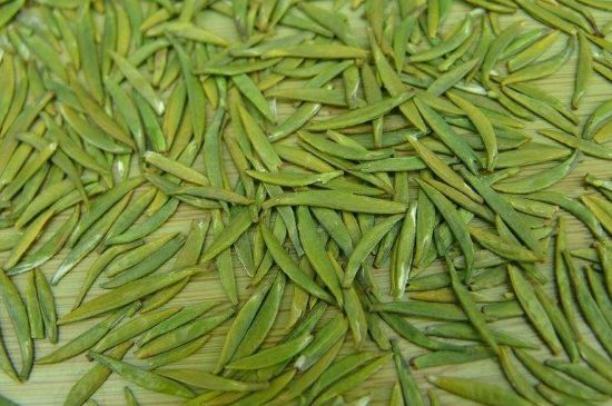 竹葉青和毛尖的區(qū)別，毛尖和竹葉青怎么分辨？