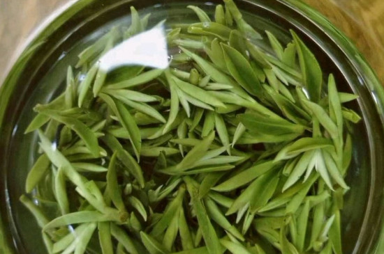 什么綠茶茶葉唇齒留香，哪個(gè)品種綠茶香氣好？