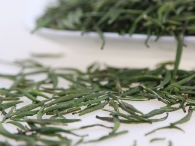 霍山黃芽算是好茶嗎，霍山黃芽屬于什么茶？