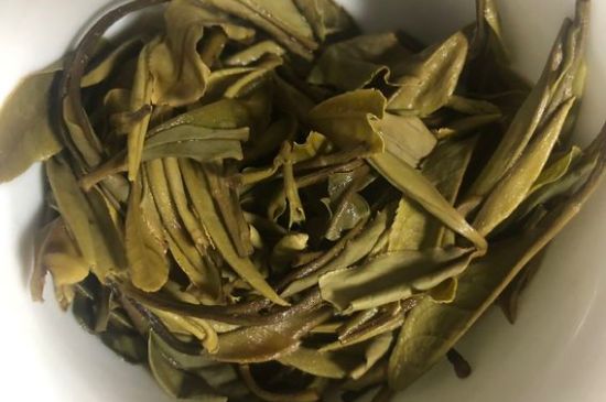 三年白茶賽砒霜，這是真的嗎？