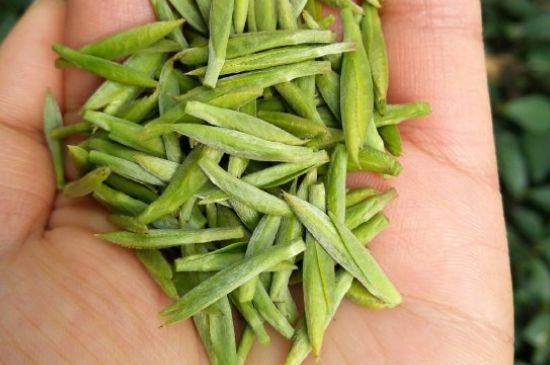 什么綠茶味道濃香，那個(gè)綠茶比較濃香？