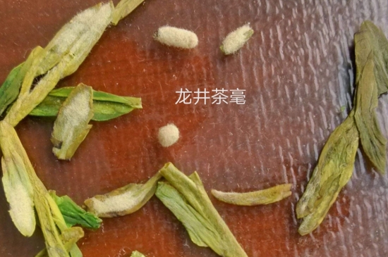 西湖龍井茶毫和發(fā)霉區(qū)別圖片，長霉的龍井茶葉會(huì)是什么樣？