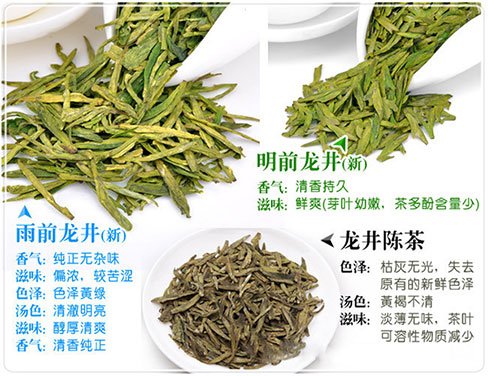 西湖龍井新茶和陳茶的區(qū)別，怎么區(qū)分龍井新茶和舊茶？