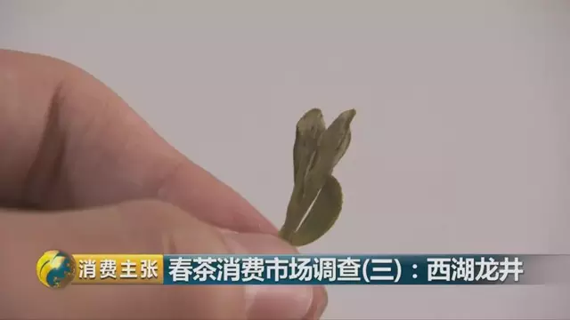 龍井群體種和43號的區(qū)別圖片，龍井43和群體種哪個好喝？