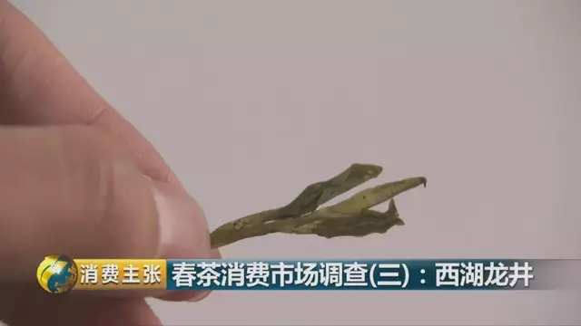 龍井群體種和43號的區(qū)別圖片，龍井43和群體種哪個好喝？