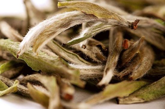 荒野銀針有什么特點(diǎn)，荒野銀針的味道口感咋樣？