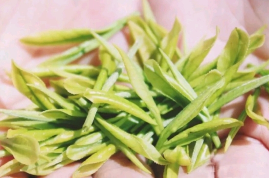 龍井是明前的好還是雨前的好，明前茶和雨前茶哪個(gè)好喝？