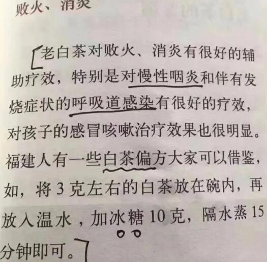 老白茶上火還是去火？夏季喝煮的老白茶會容易上火！