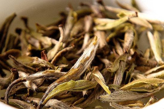 荒野銀針市場(chǎng)價(jià)多少，真正的荒野白毫銀針多少錢？