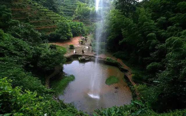 武夷山為什么盛產(chǎn)茶葉，武夷山茶為什么好喝？