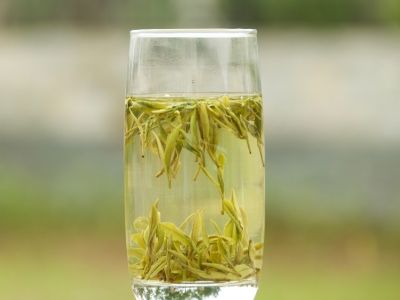 霍山黃芽算是好茶嗎，霍山黃芽屬于什么茶？