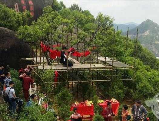 宋種一號價值為什么高，鳳凰單樅宋種1號價格與產(chǎn)量多少？