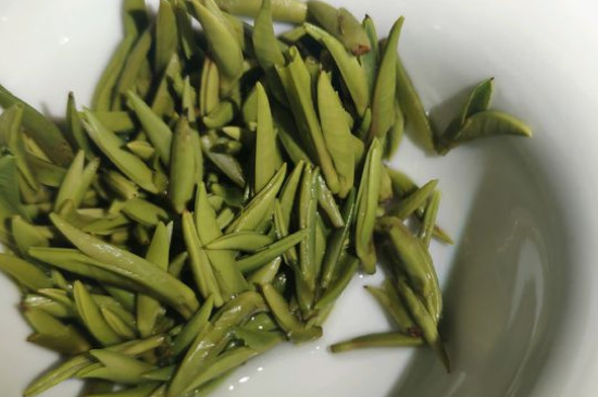 竹葉青茶怎么泡，竹葉青如何沖泡