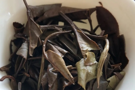 老白茶上火還是去火？夏季喝煮的老白茶會容易上火！